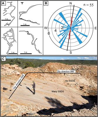 Small-Scale Soft-Sediment Deformation Structures in the Cross-Bedded Coconino Sandstone (Permian; Arizona, United States); Possible Evidence for Seismic Influence